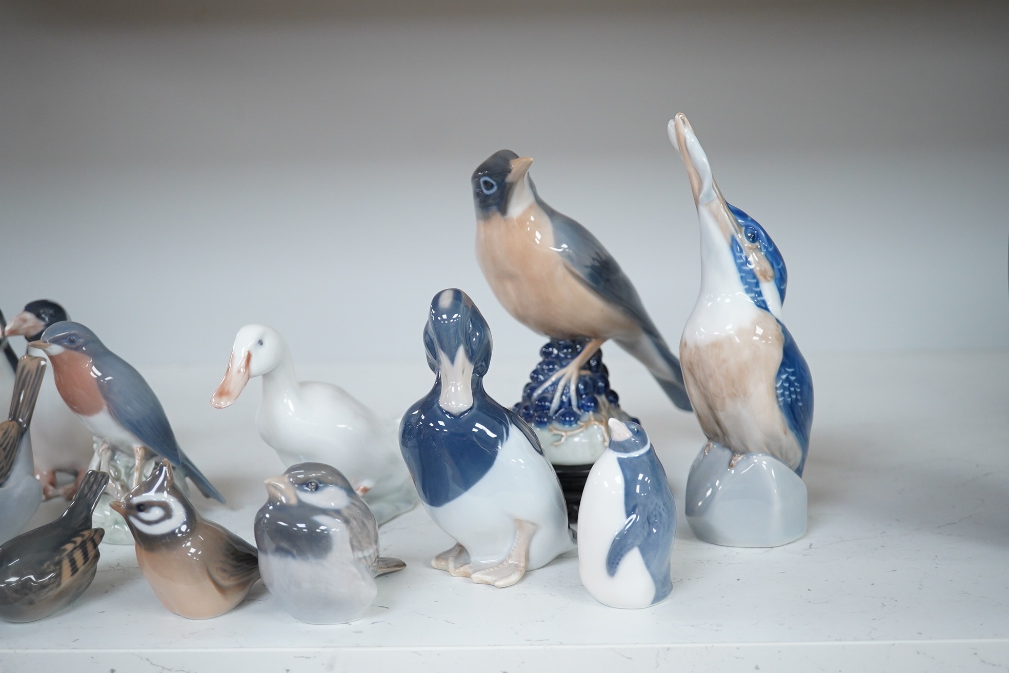 A collection of sixteen Royal Copenhagen models of birds. Tallest a Kingfisher, 18cm high. Condition - the robin is chipped on the tail the rest appear good